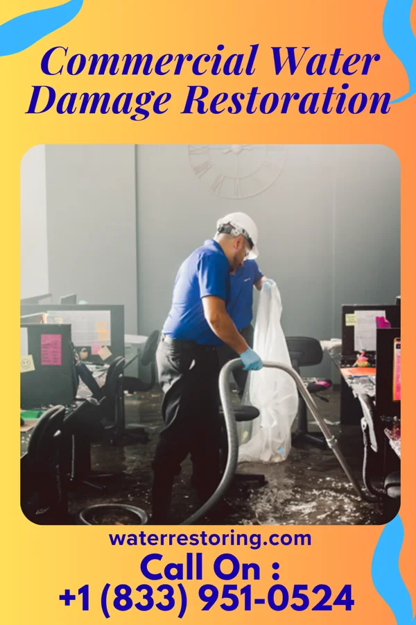 Commercial Water Damage Restoration in Maynard, MN