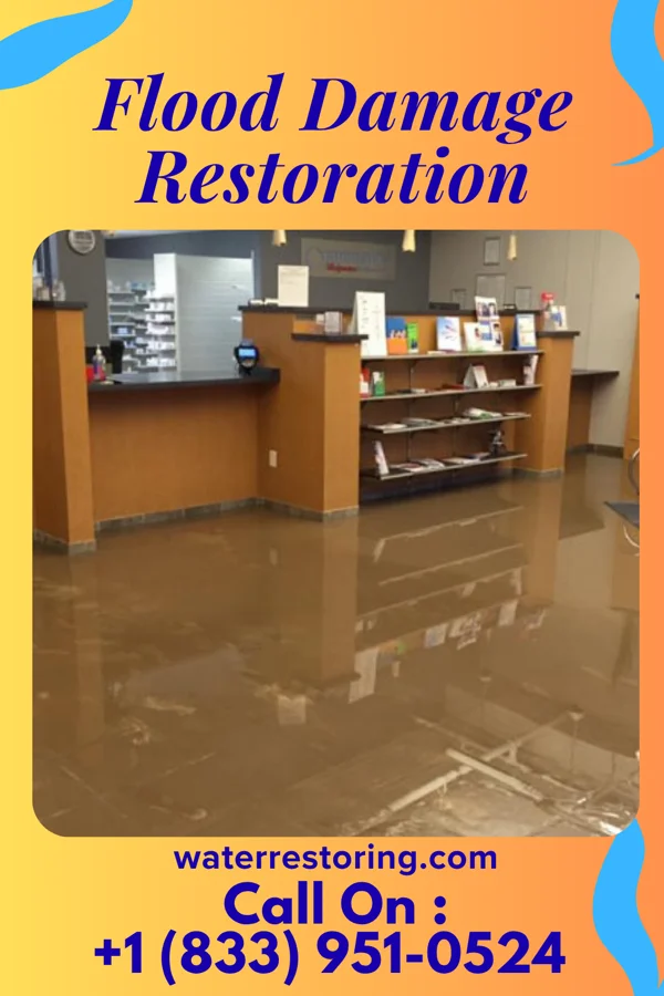Flood Damage Restoration in Maynard, MN