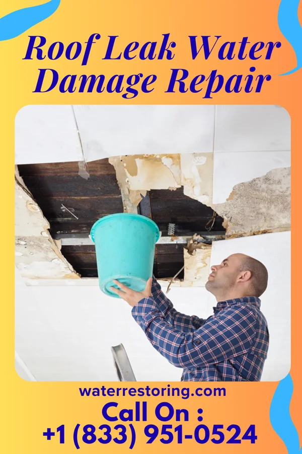 Roof Leak Water Damage Repair in Maynard, MN