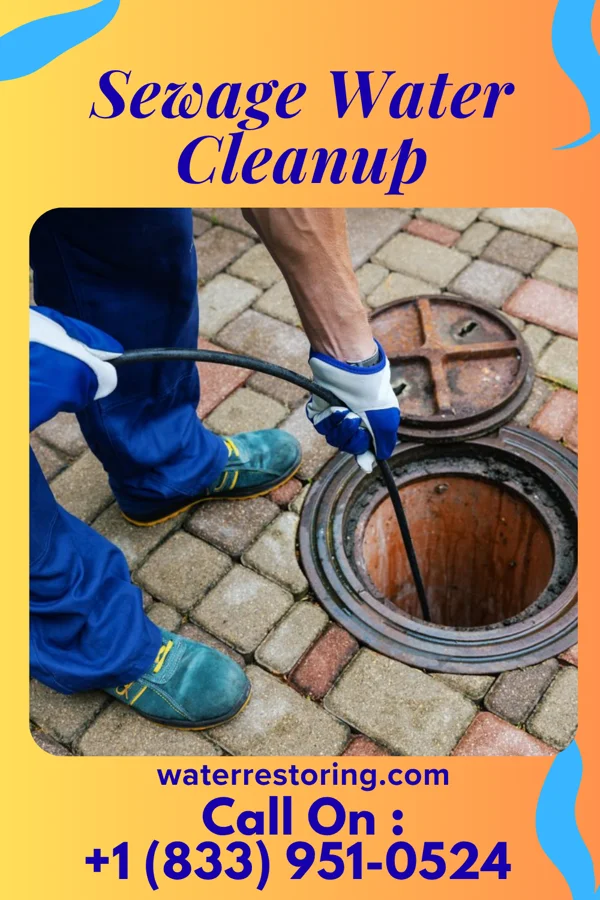 Sewage Water Cleanup in Maynard, MN