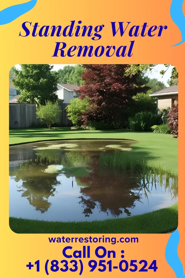 Standing Water Removal in Maynard, MN